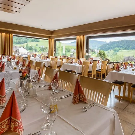 酒店 Bsw Schwarzwaldhotel 3*